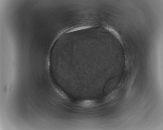 X0000113260059200910221047