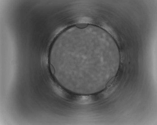 X0000113260060200910221047