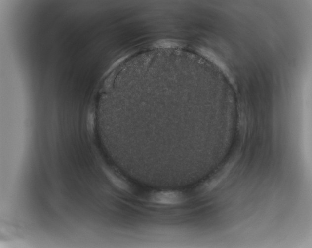 X0000113260063200910221047