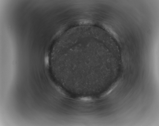 X0000113260067200910221047
