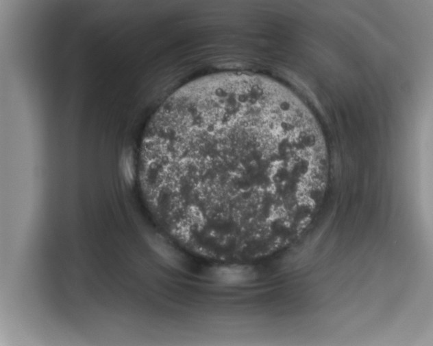 X0000113260069200910221047