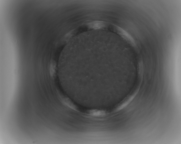 X0000113260073200910221047