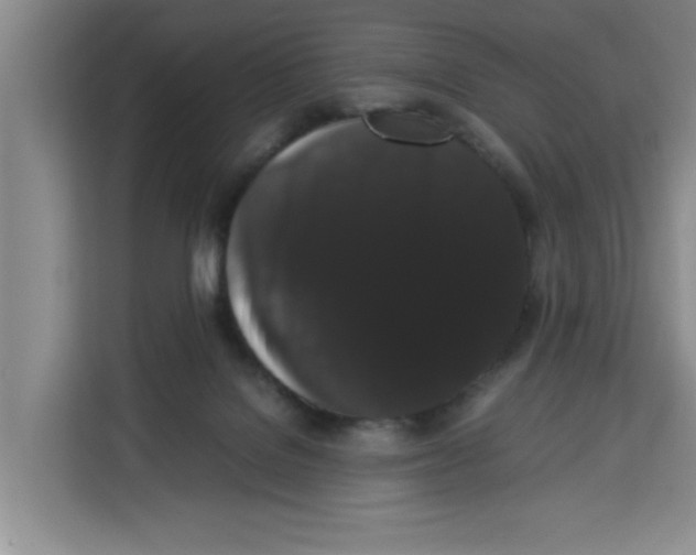 X0000113260076200910221047