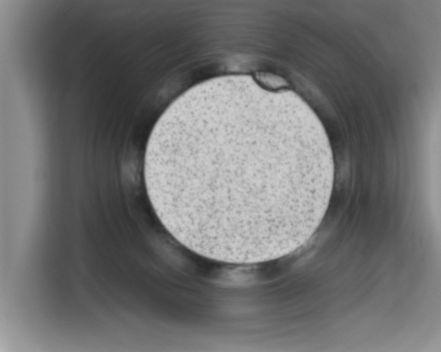 X0000113260078200910221047