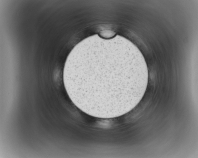 X0000113260079200910221047