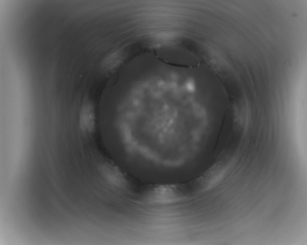 X0000113260080200910221047