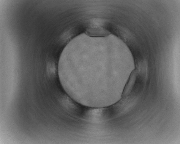 X0000113260084200910221047