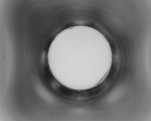 X0000113260095200910221048