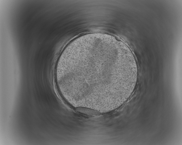 X0000113260097200910221047