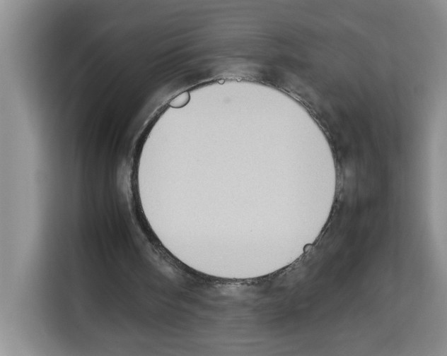 X0000113260098200910221047