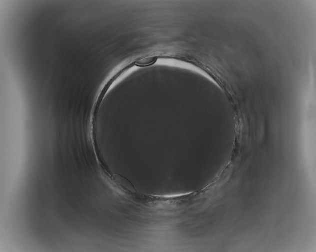 X0000113260100200910221047