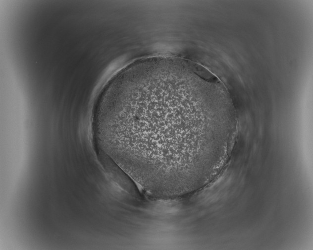 X0000113260101200910221047