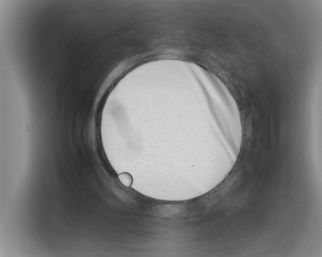 X0000113260102200910221047