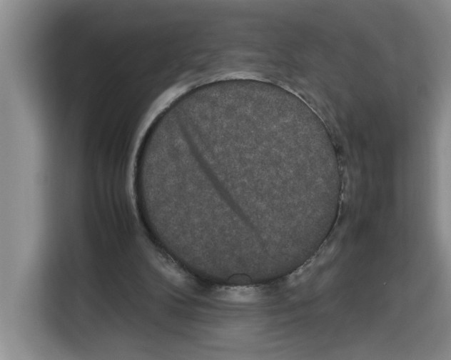 X0000113260104200910221047