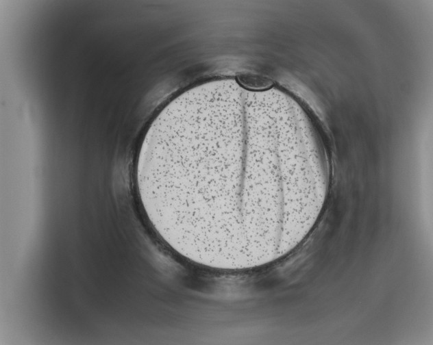 X0000113260105200910221047
