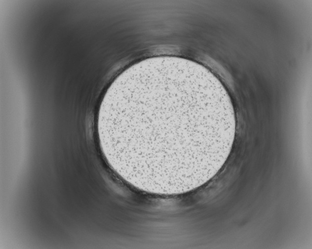 X0000113260107200910221047