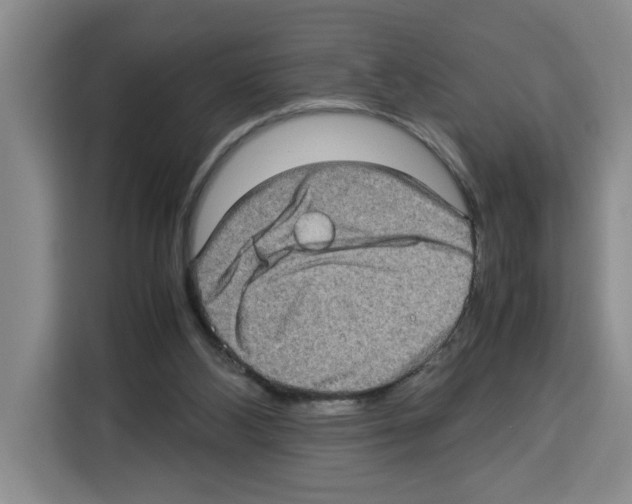 X0000113260108200910221047