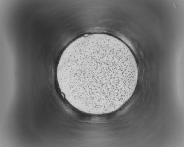 X0000113260109200910221047