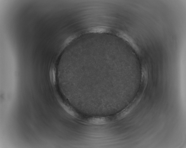 X0000113260110200910221047