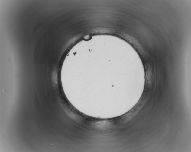 X0000113260112200910221047