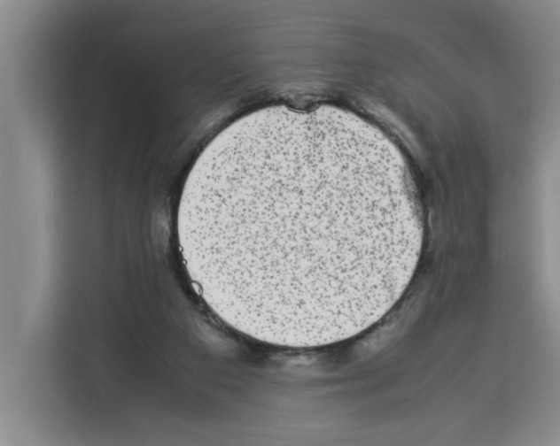 X0000113260113200910221047