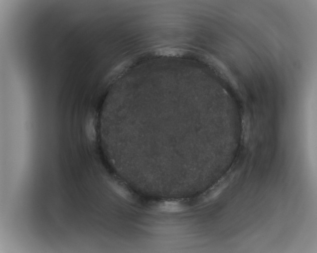 X0000113260114200910221047