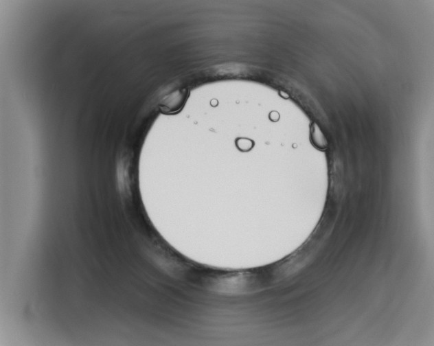 X0000113260116200910221047