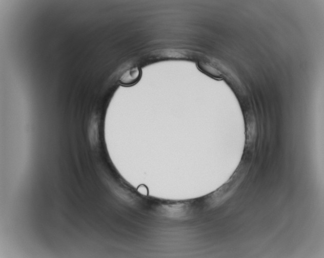 X0000113260120200910221047