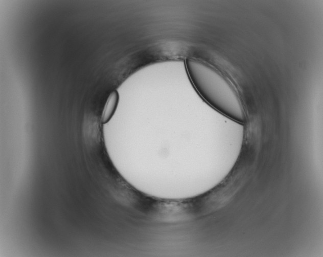 X0000113260121200910221047