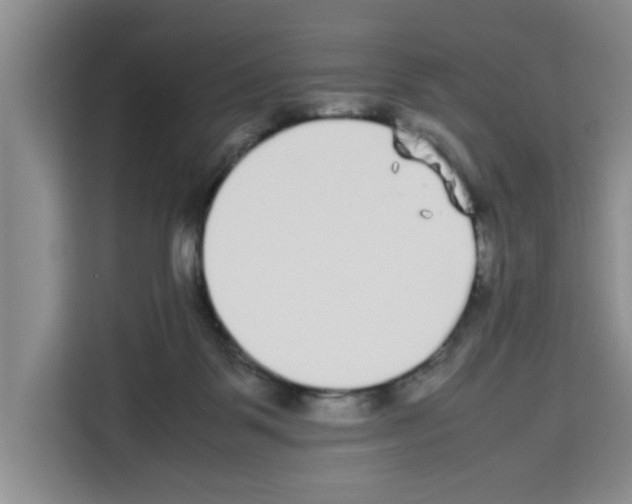 X0000113260123200910221047