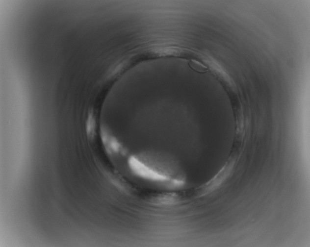 X0000113260124200910221047
