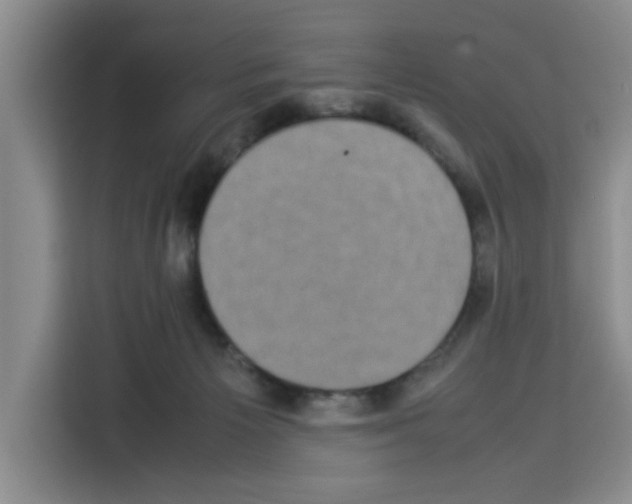X0000113260125200910221047