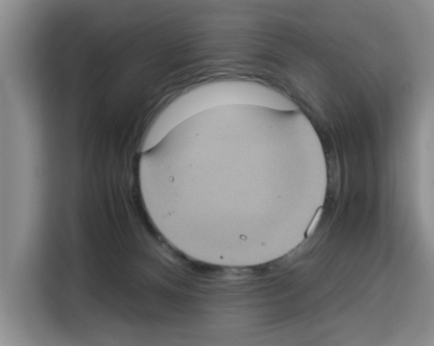 X0000113260128200910221047