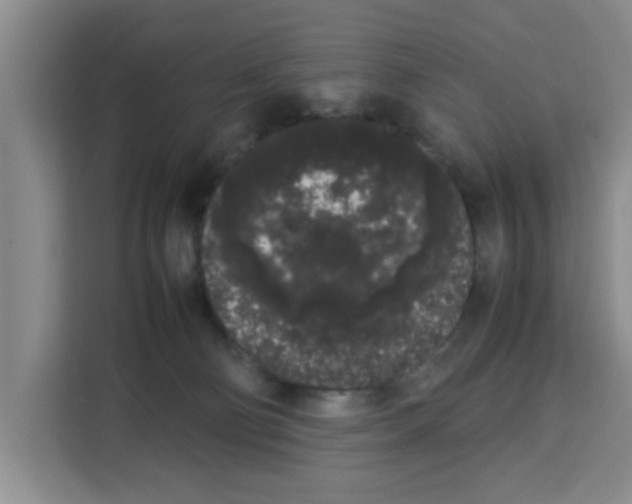 X0000113260130200910221047