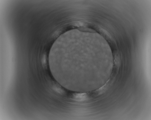 X0000113260132200910221047