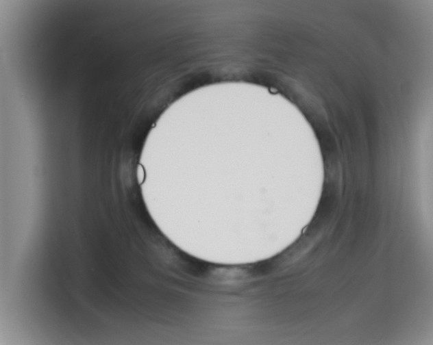 X0000113260133200910221047