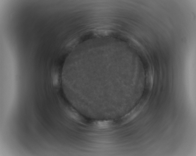 X0000113260134200910221047