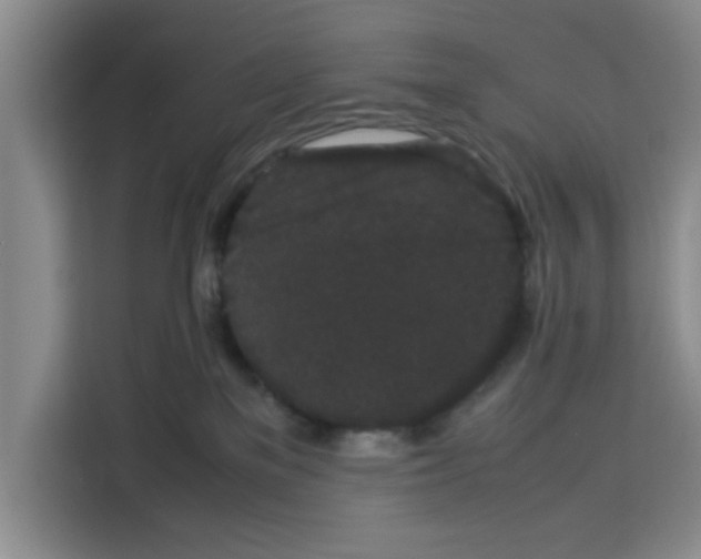X0000113260137200910221046