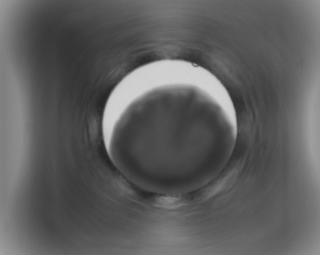X0000113260139200910221046