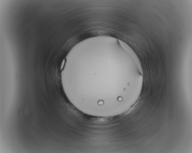 X0000113260140200910221046