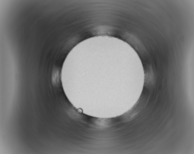 X0000113260142200910221046