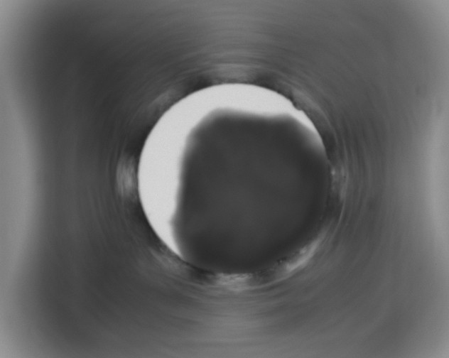X0000113260143200910221046