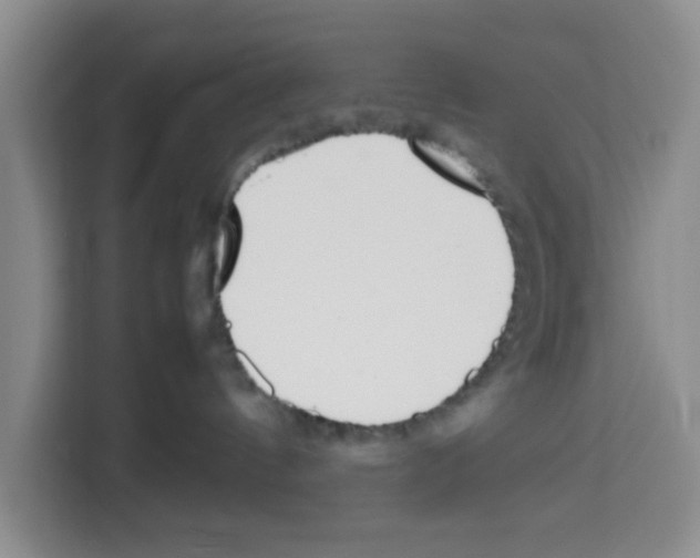 X0000113260144200910221046