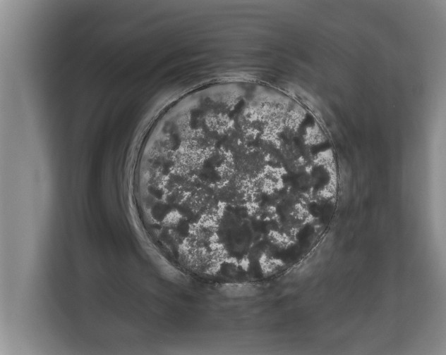X0000113260145200910221046