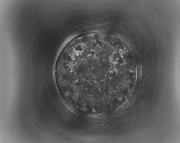 X0000113260147200910221046