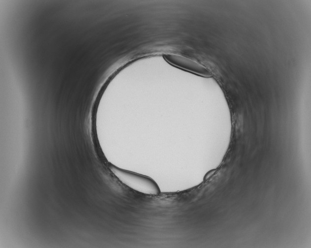 X0000113260148200910221046