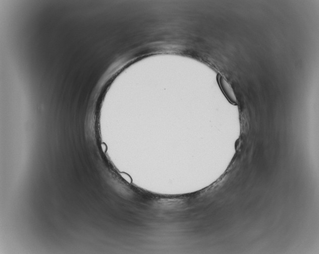 X0000113260150200910221046