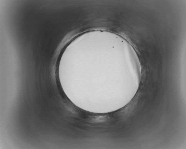 X0000113260151200910221046