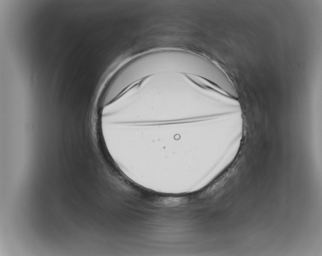 X0000113260152200910221046