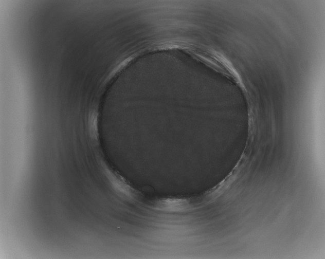 X0000113260154200910221046